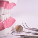The Right Dental Care Indemnity Coverage – Which of the Following Statements Best Describes Dental Care Indemnity Coverage?