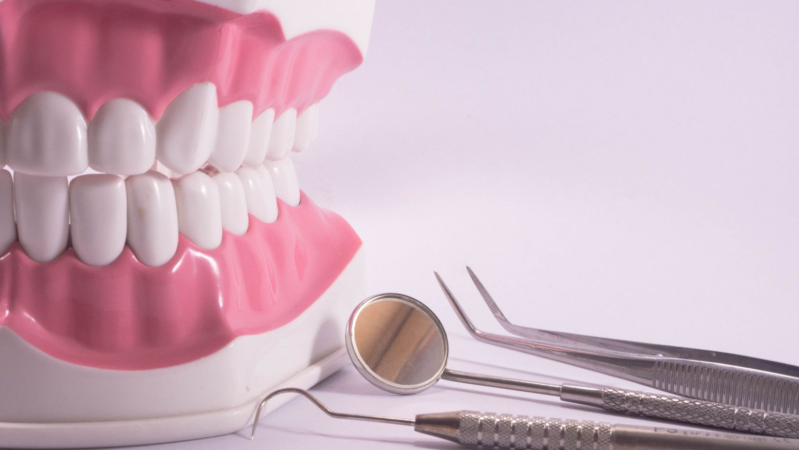 which of the following statements best describes dental care indemnity coverage