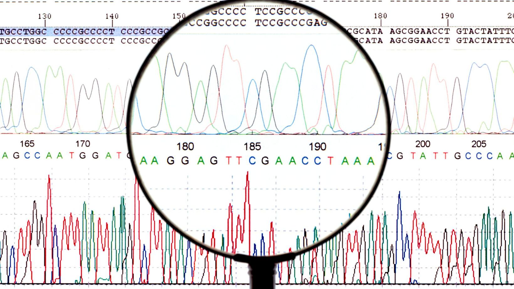 classify the likely effect of each mutation.