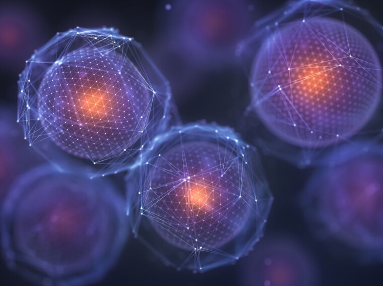 match each event with the appropriate stage of meiosis.