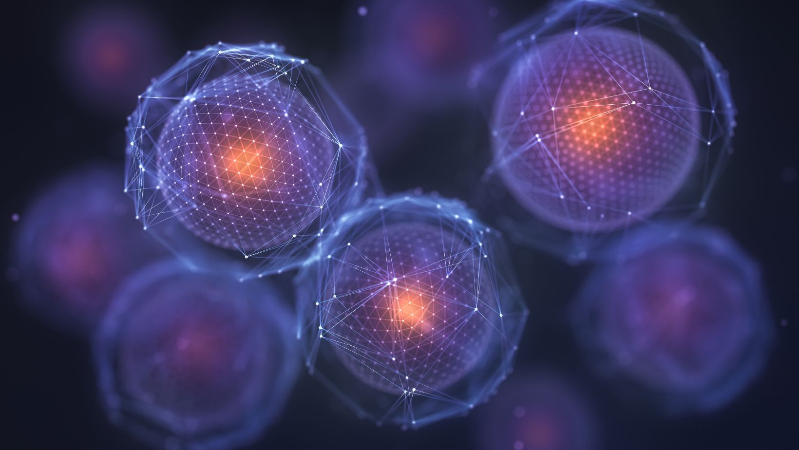 match each event with the appropriate stage of meiosis.