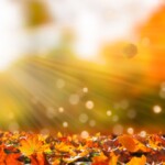 Fall Background iPhone: Stunning Autumn Wallpapers for Your Device