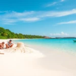 Which Area in BeeVitius Is the Best to Stay? Discover Your Perfect Vacation Spot